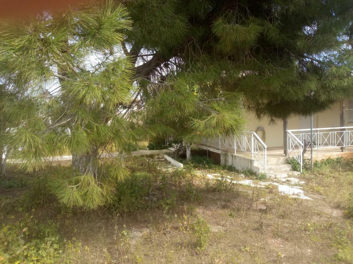 Vangelis House Near Athens Airport Loútsa Exterior foto